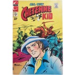 김산호 영문만화 [Cheyenne Kid]