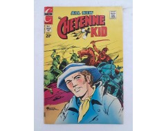 [3] 김산호 영문만화 [Cheyenne Kid]