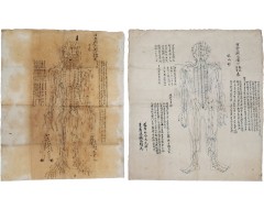 [136] 경혈에 침을 놓기 위해 그려진 명당도(明堂圖)와 동인도(銅人圖) 인체 전후면 필사 문서 2점
