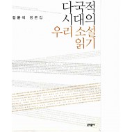 다국적 시대의 우리 소설 읽기 (김윤식 평론집)