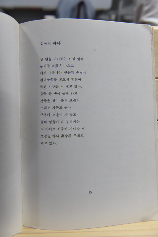 도시의 서쪽