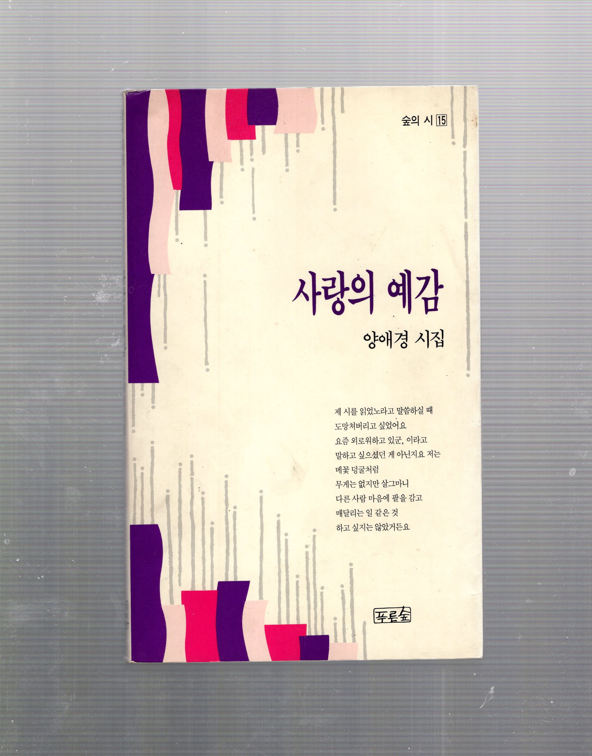 사랑의 예감 - 양애경 시집