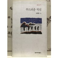 부드러운 직선 (도종환시집,초판)