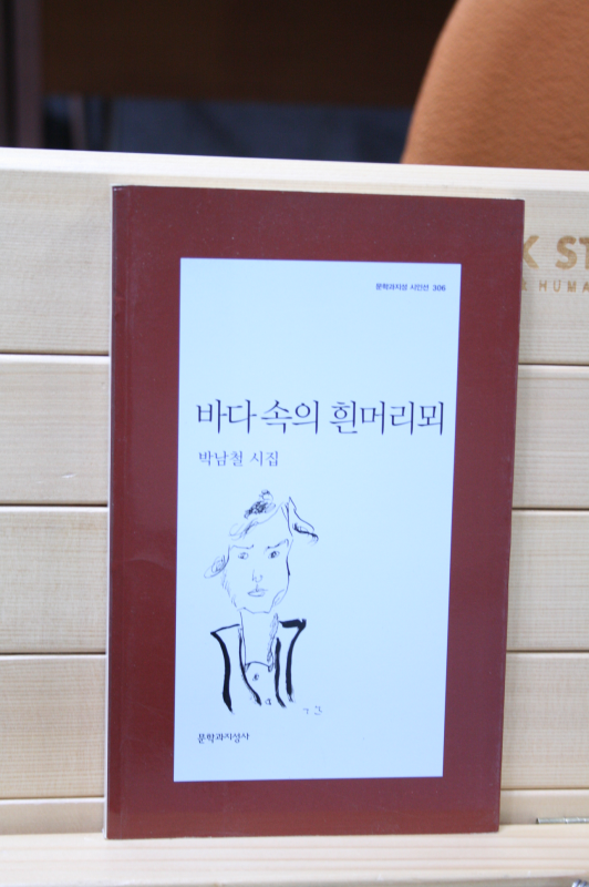 바다 속의 흰머리뫼 (박남철시집,초판)