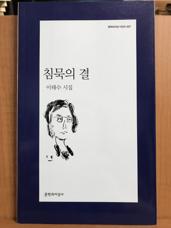 침묵의 결 (이태수시집,초판)