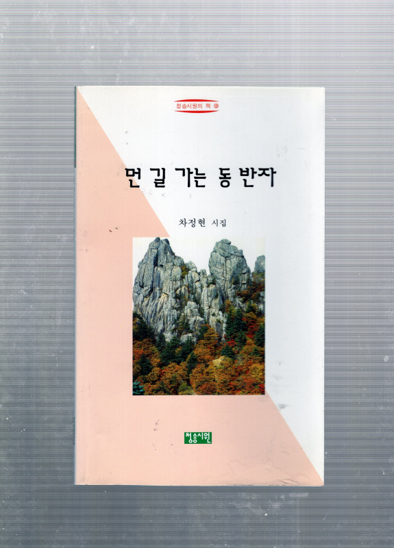 먼 길 가는 동반자 (차정현시집,초판)