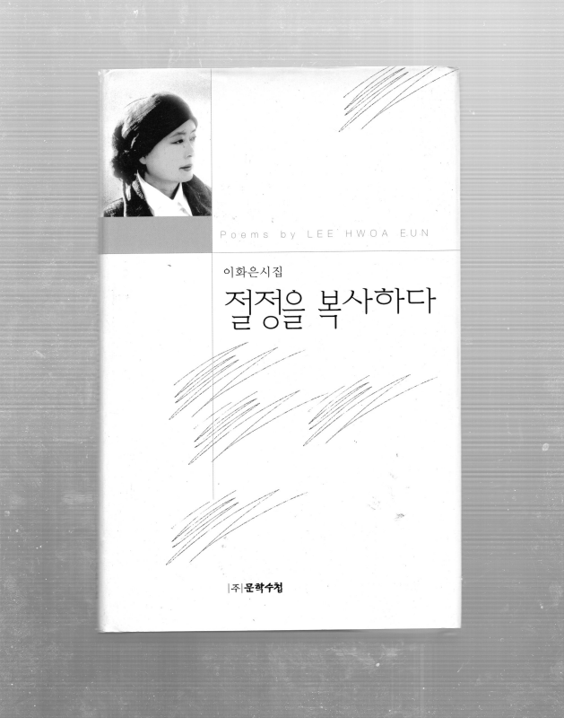 절정을 복사하다 (이화은시집,초판)