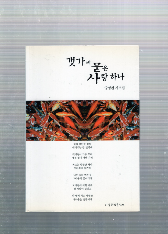 갯가에 묻은 사랑 하나 (양명천시조집,초판,저자서명본)