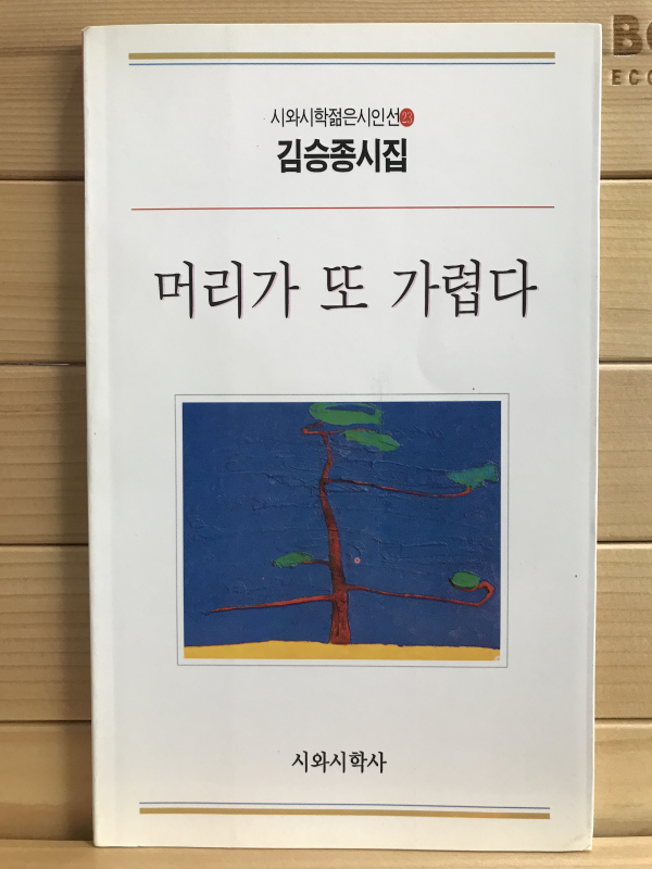 머리가 또 가렵다 (김승종시집,초판)