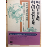 김석철 건축문화기행 천년의 도시 천년의 건축