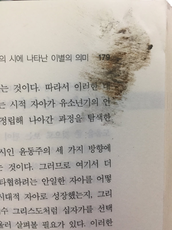 한국 현대문학의 탐색