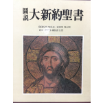 도설 대신약성서 (마테오의 복음서-요한의 묵시록 성서 본문의 해설과 논문)