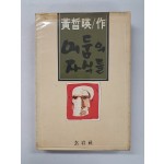 황석영(黃晳暎)장편소설 [어둠의 자식들]