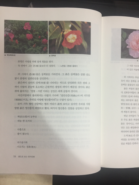 꽃으로 보는 한국문화 1