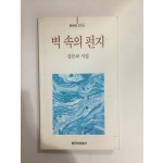 벽 속의 편지 (강은교시집)