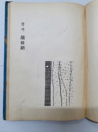 홍성문 시집 [꽃과 철조망] 1958 초판
