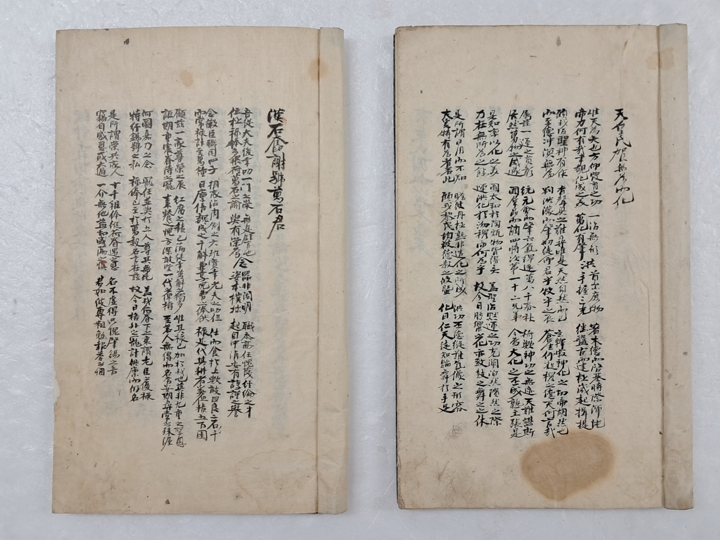 세필로 정서한 명문 필사본 2책