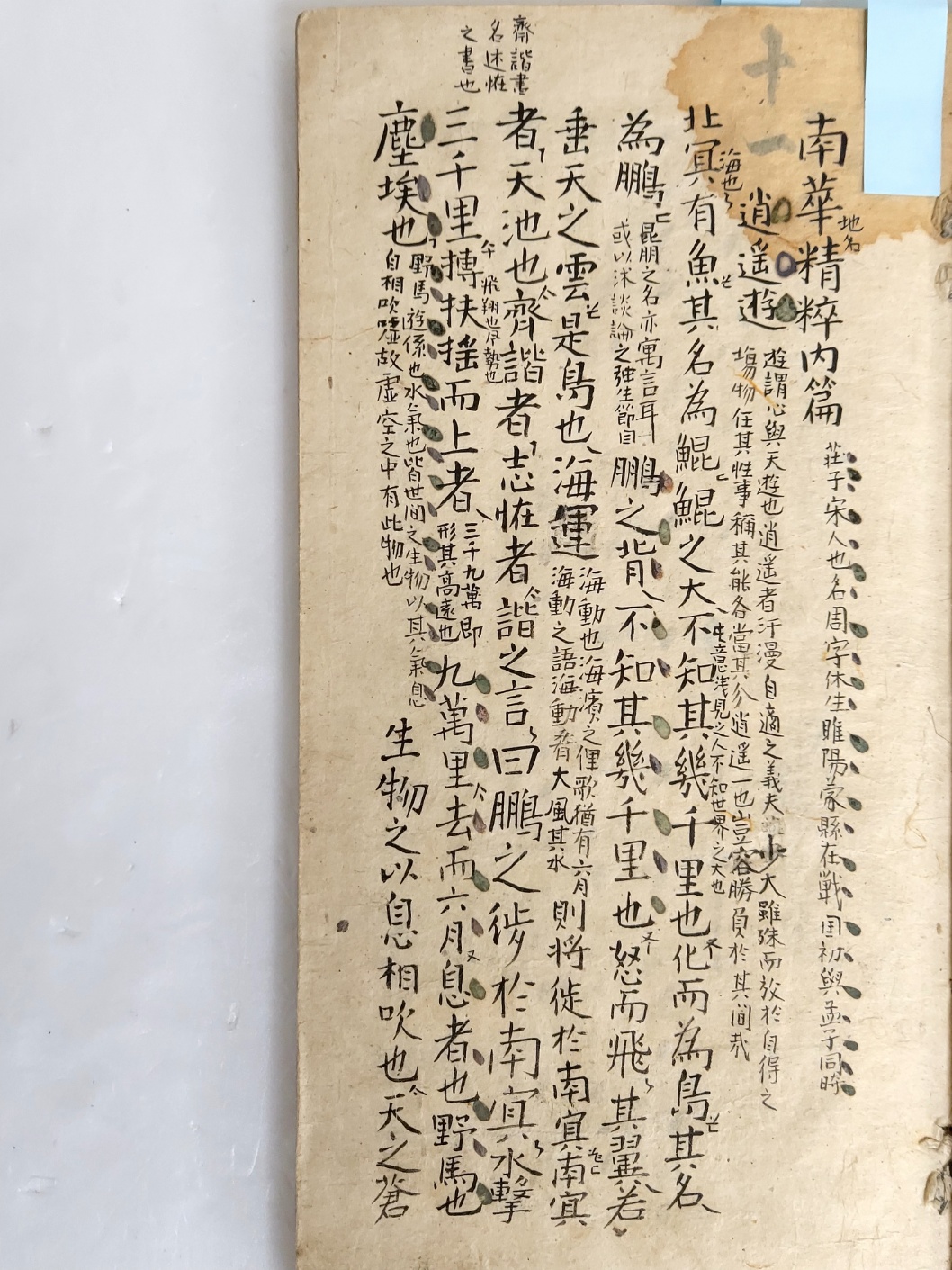 필사본 [장자양명집 합부 莊子陽明集 合部]