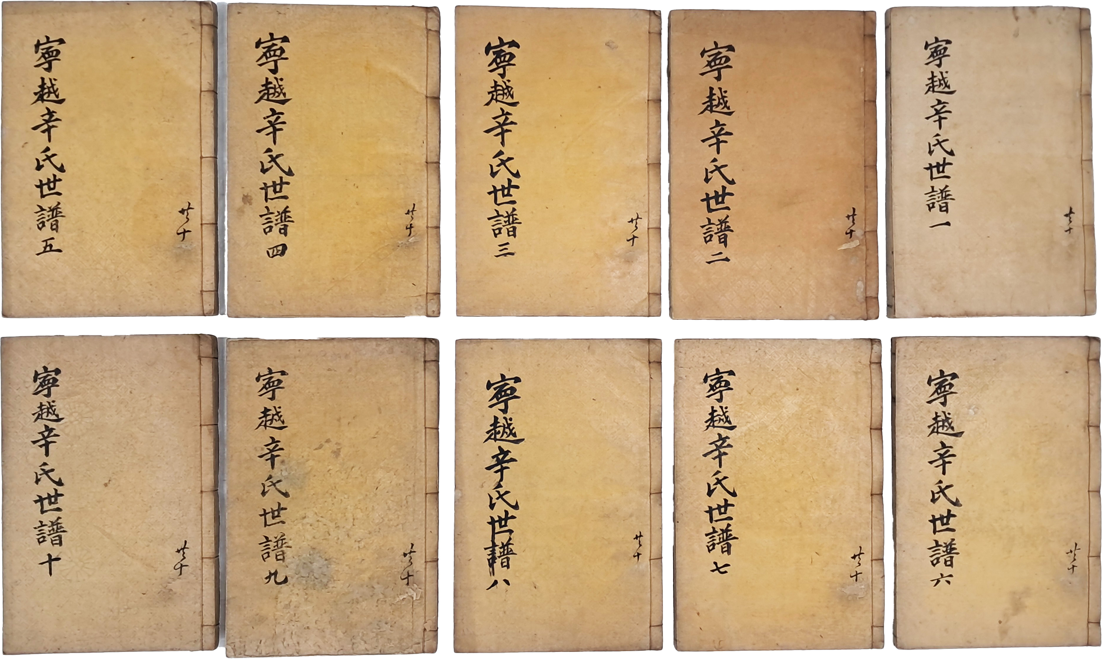 [9] [영월신씨세보 寧越辛氏世譜] 20권 10책 완질