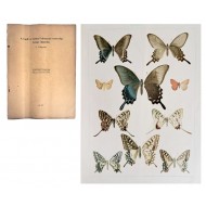 [167] 한국 나비에 관한 종합 정보 안내서