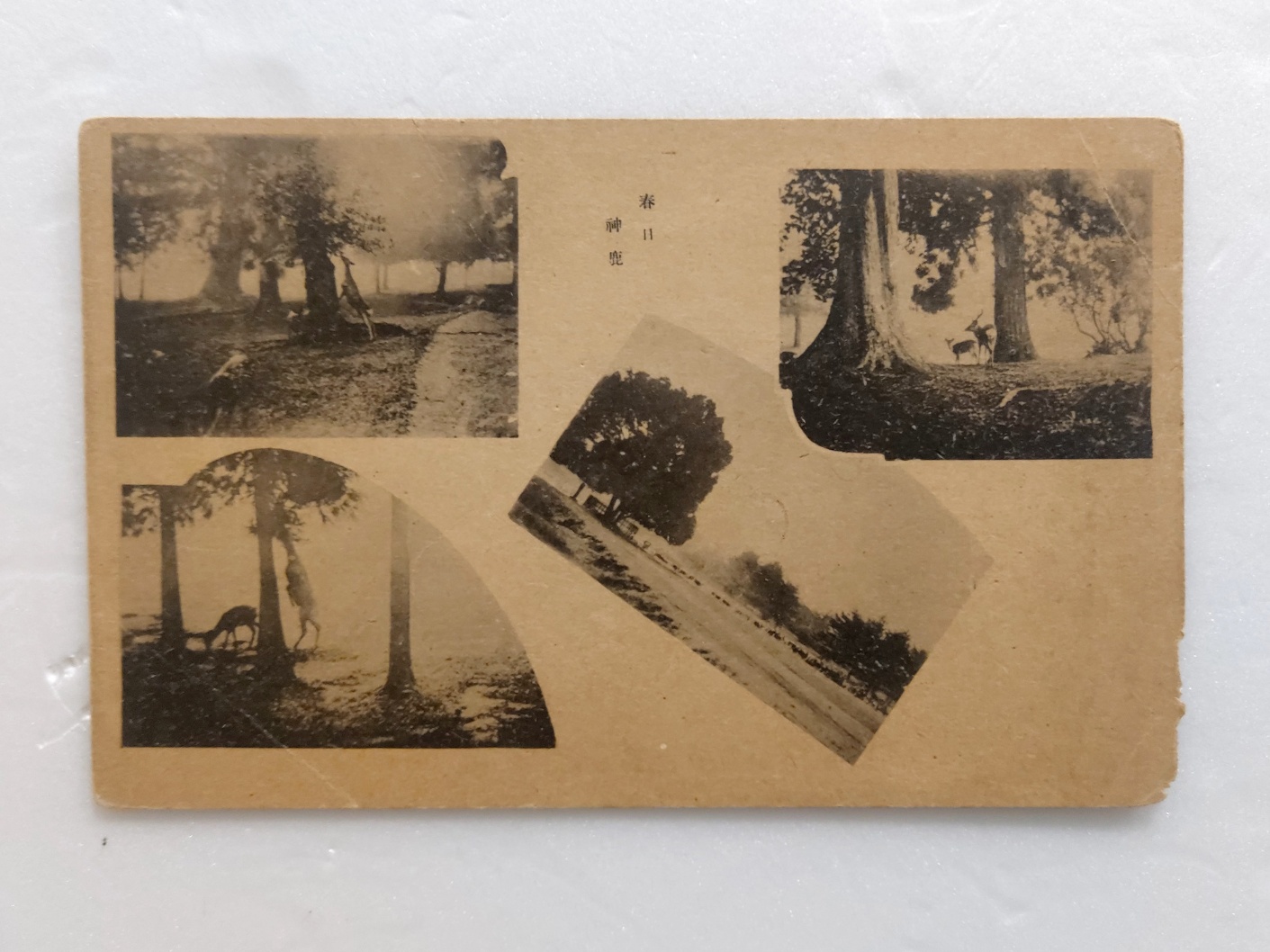 3829d416f1f4728d089ef022d63273d4_1691430854_8283.jpg 3829d416f1f4728d089ef022d63273d4_1691430854_8283.jpg