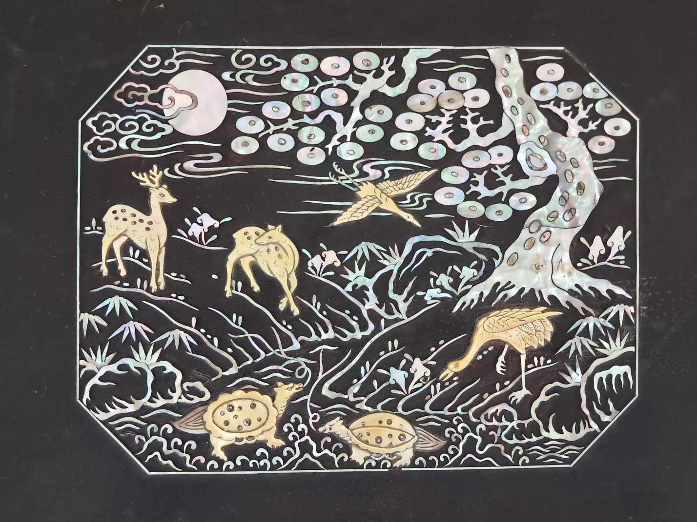5d087129e2c379404379065ef2e1cb2d_1746707609_5104.jpg