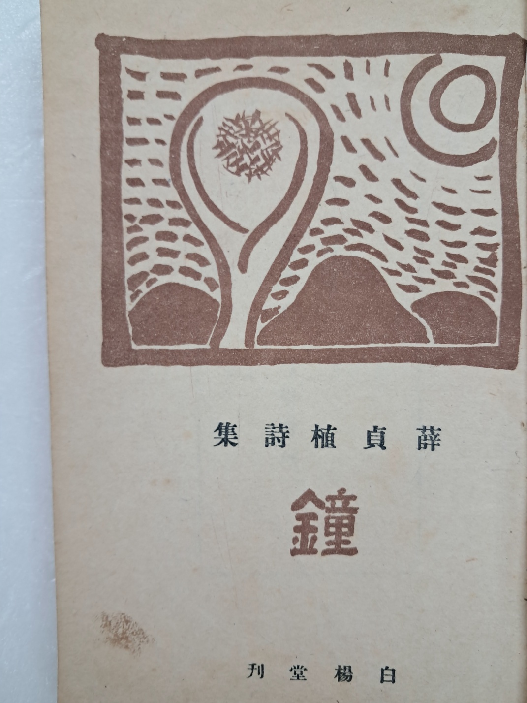 5d087129e2c379404379065ef2e1cb2d_1746718050_4399.jpg