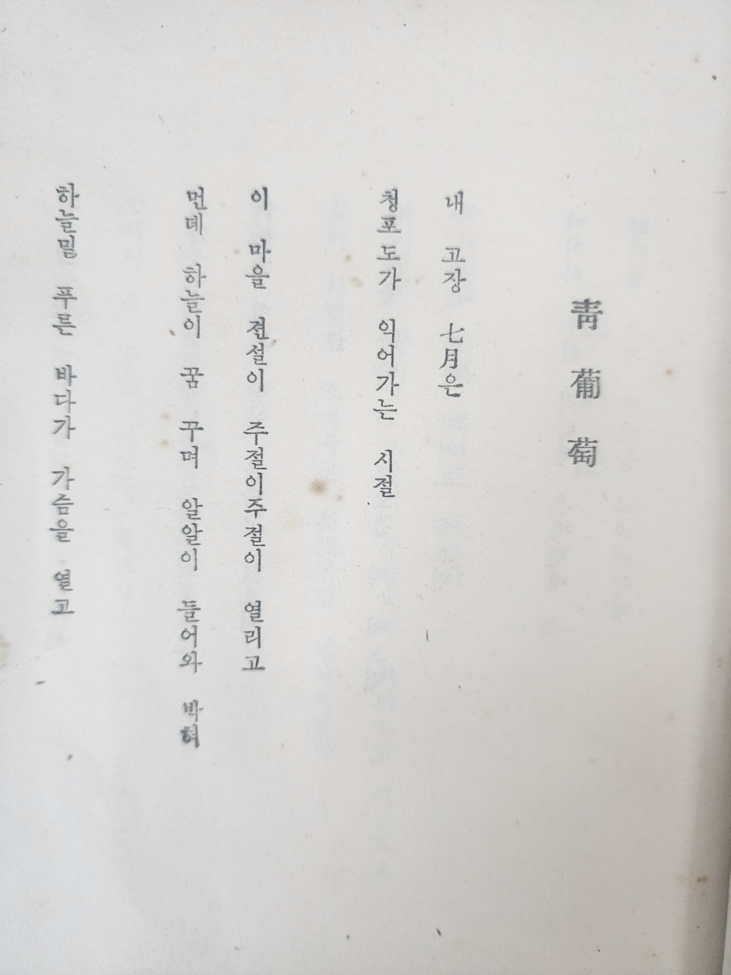 5d087129e2c379404379065ef2e1cb2d_1746719012_1237.jpg