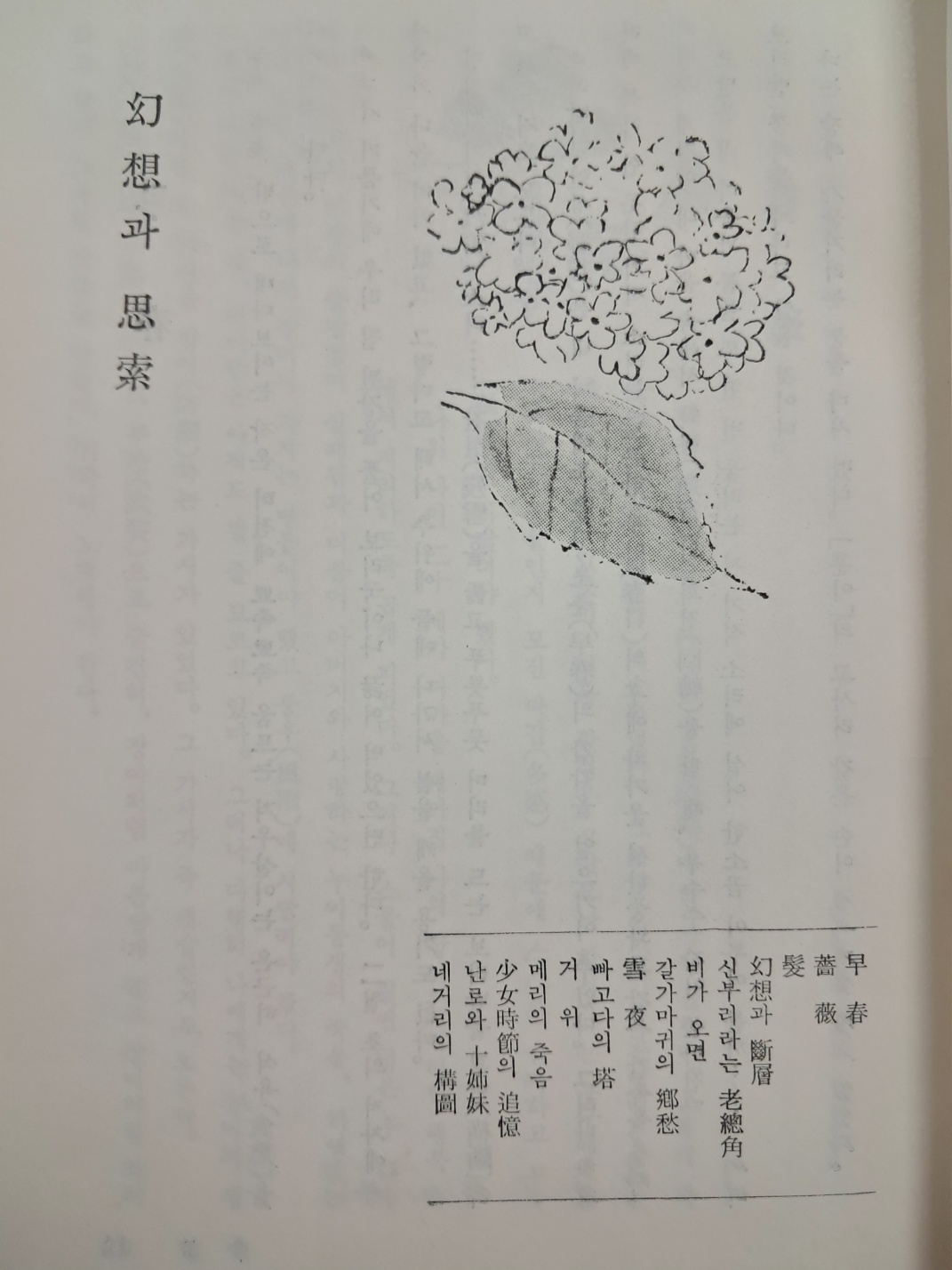 65f7b1c90284ad10020f3a9a6f999e68_1747287730_7069.jpg