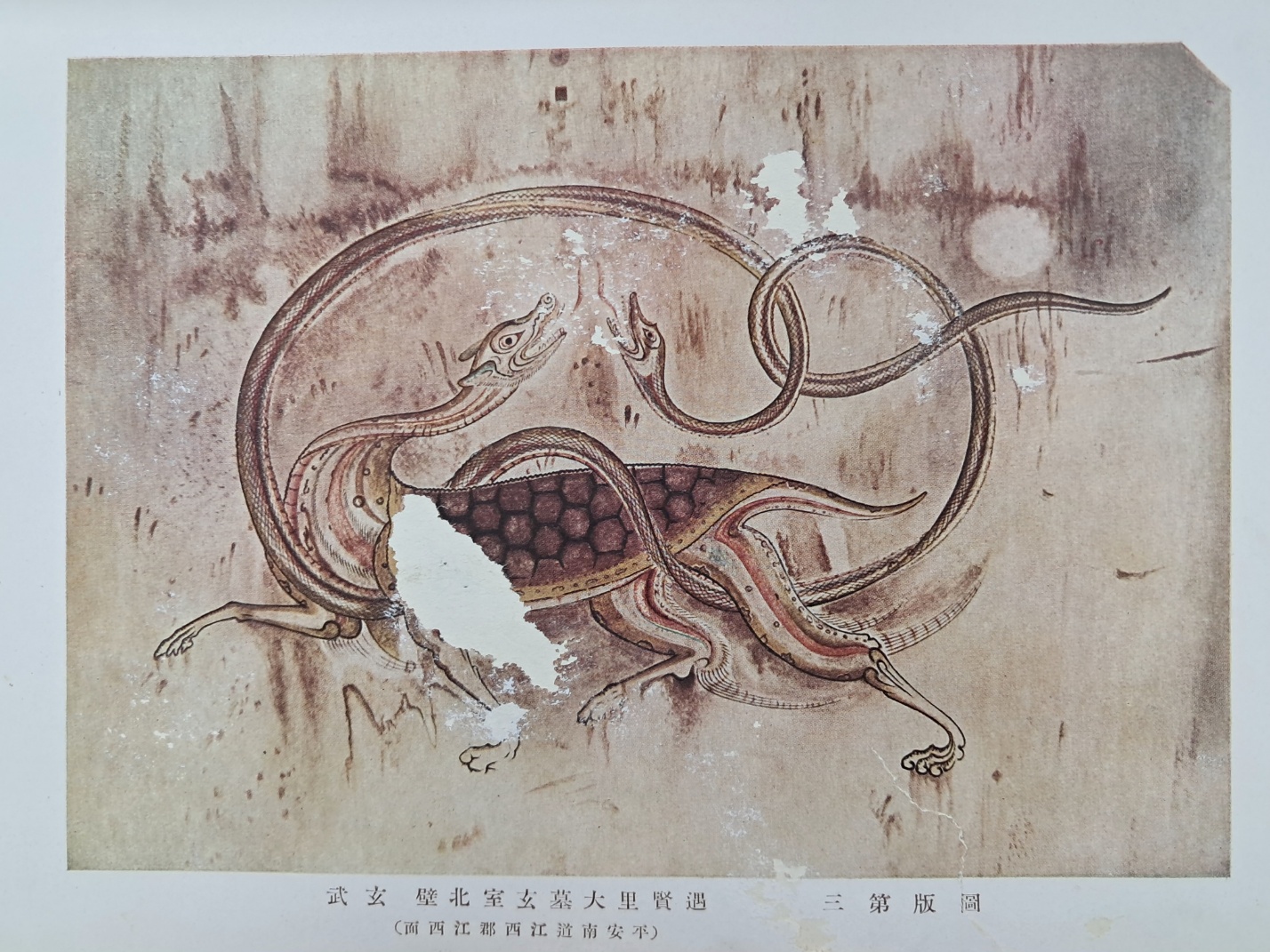 65f7b1c90284ad10020f3a9a6f999e68_1747291543_4635.jpg