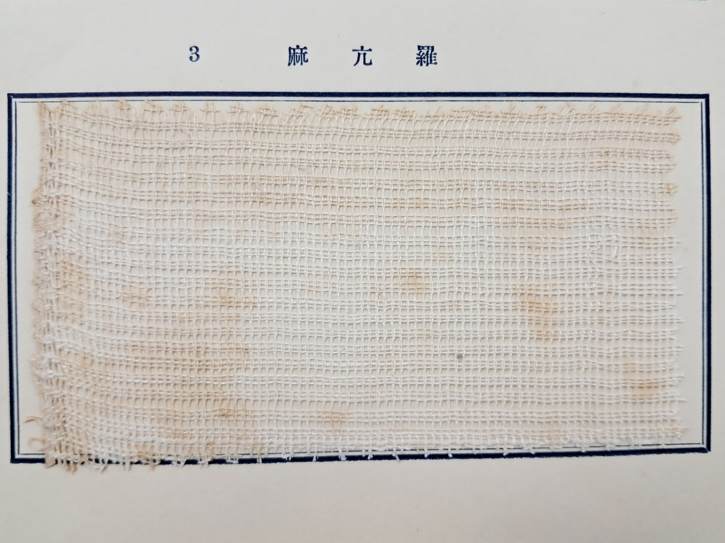 aa08d5e5a1364ff21b6d44fc80252808_1746753007_4221.jpg