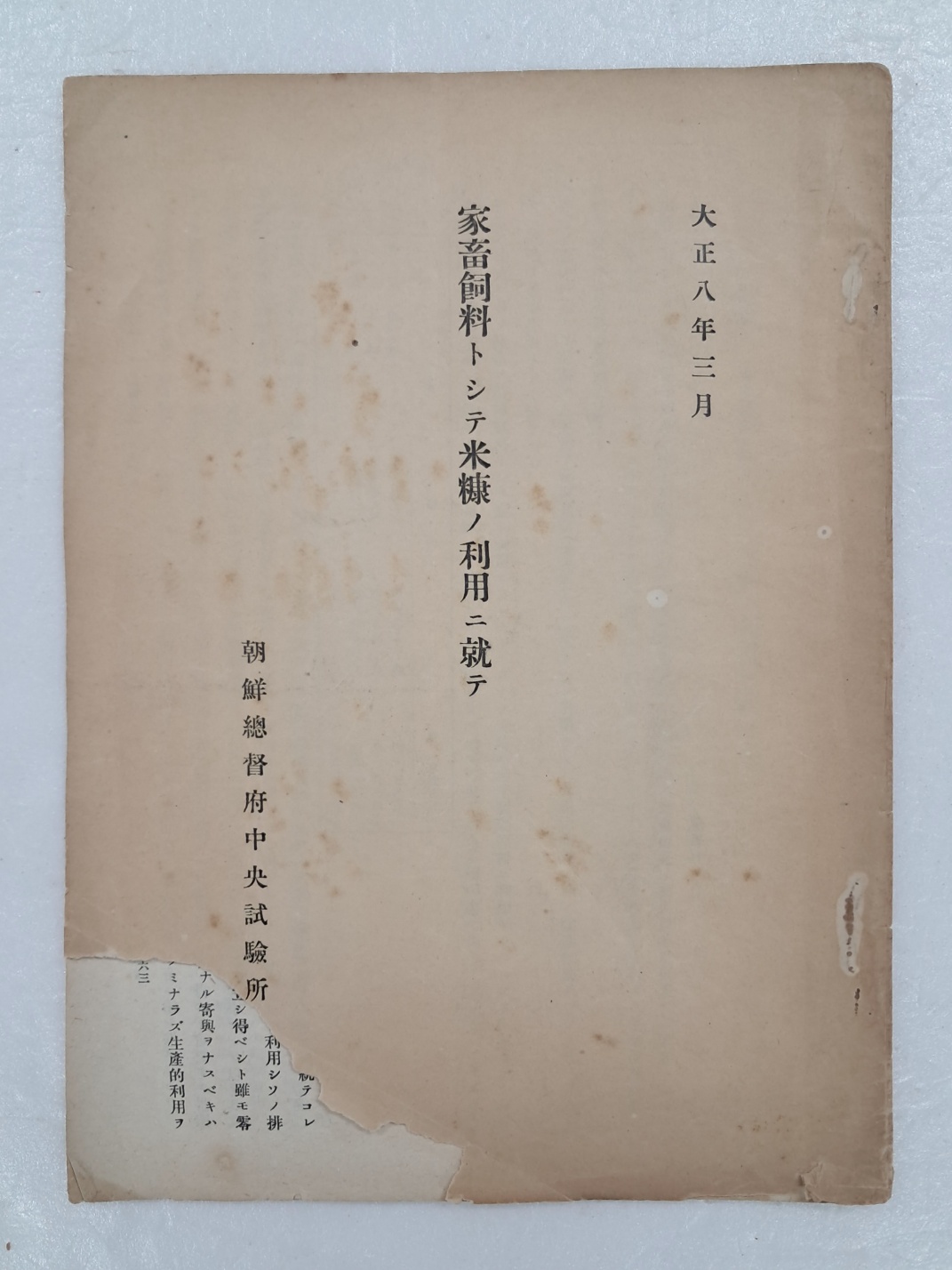 aa08d5e5a1364ff21b6d44fc80252808_1746753800_1777.jpg