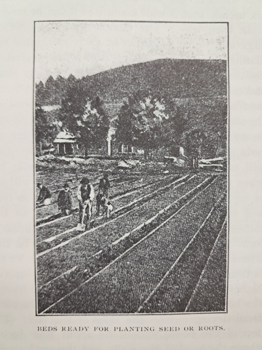 aa08d5e5a1364ff21b6d44fc80252808_1746756891_734.jpg