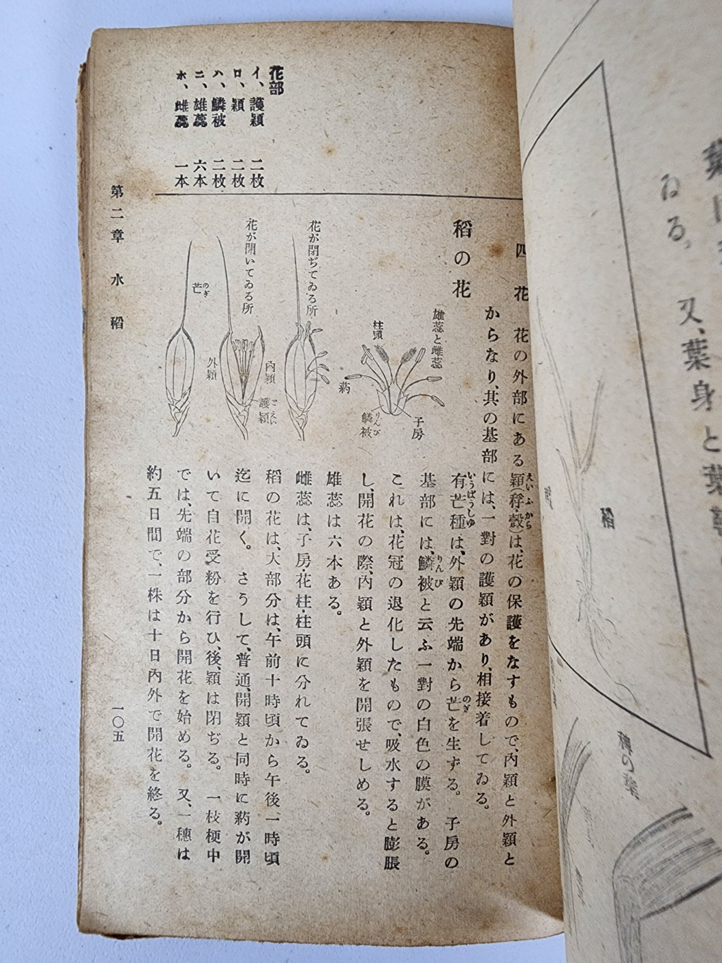 ac6f50f0072e65f4b8182839a2fb94af_1747943883_0892.jpg