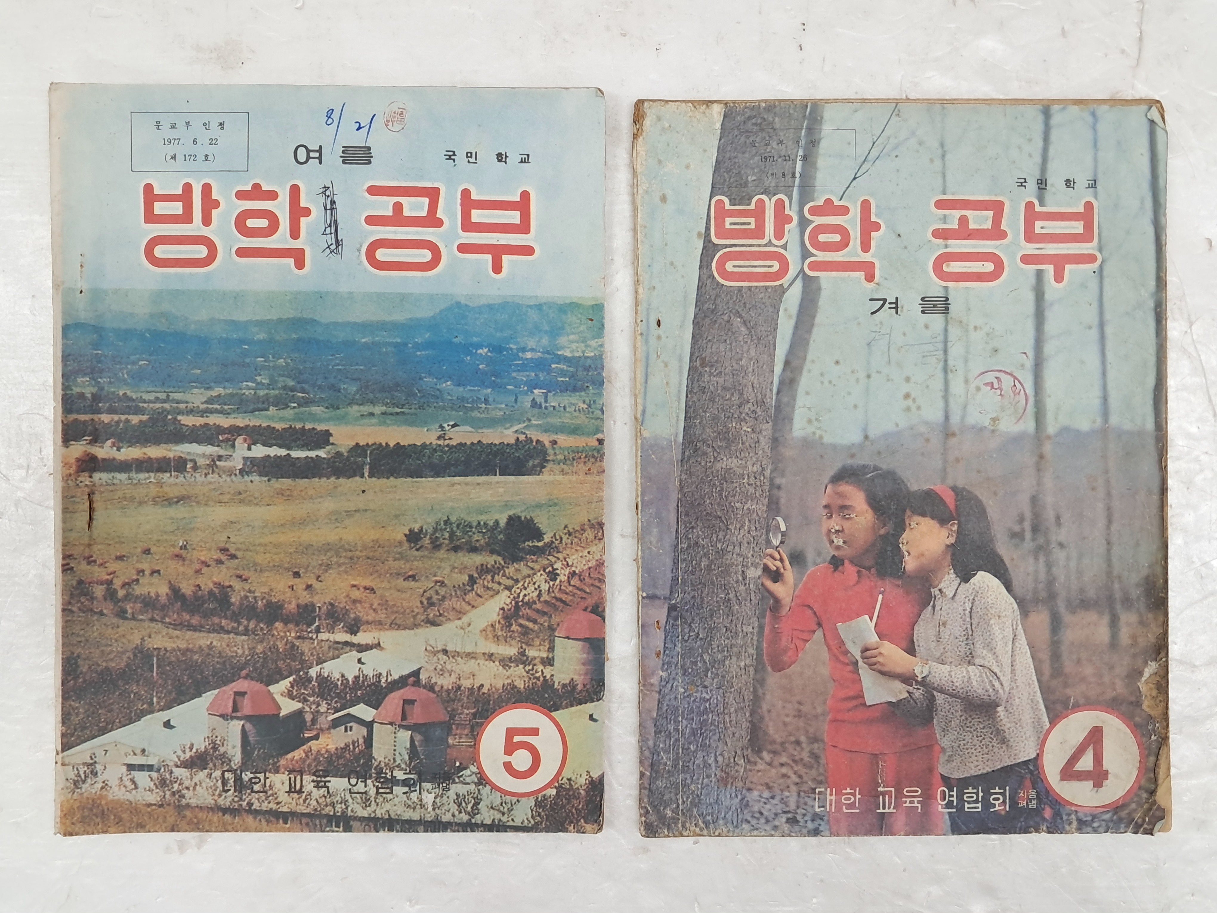 d38000a5e133eff554dc2f68c68a25bd_1753893485_6371.jpg