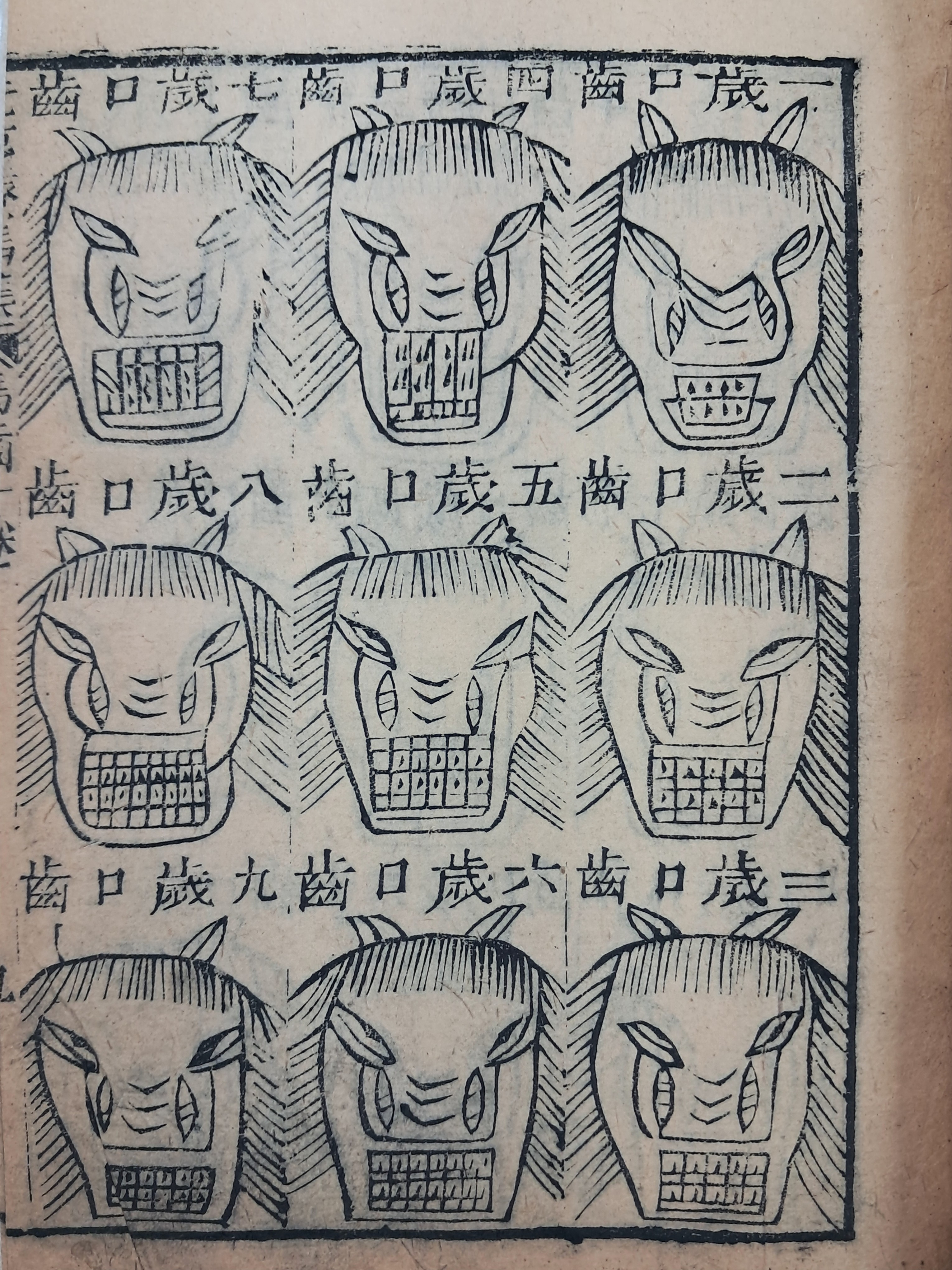313d93bedfd2e14255fecb0a59d81ec1_1754579386_7734.jpg