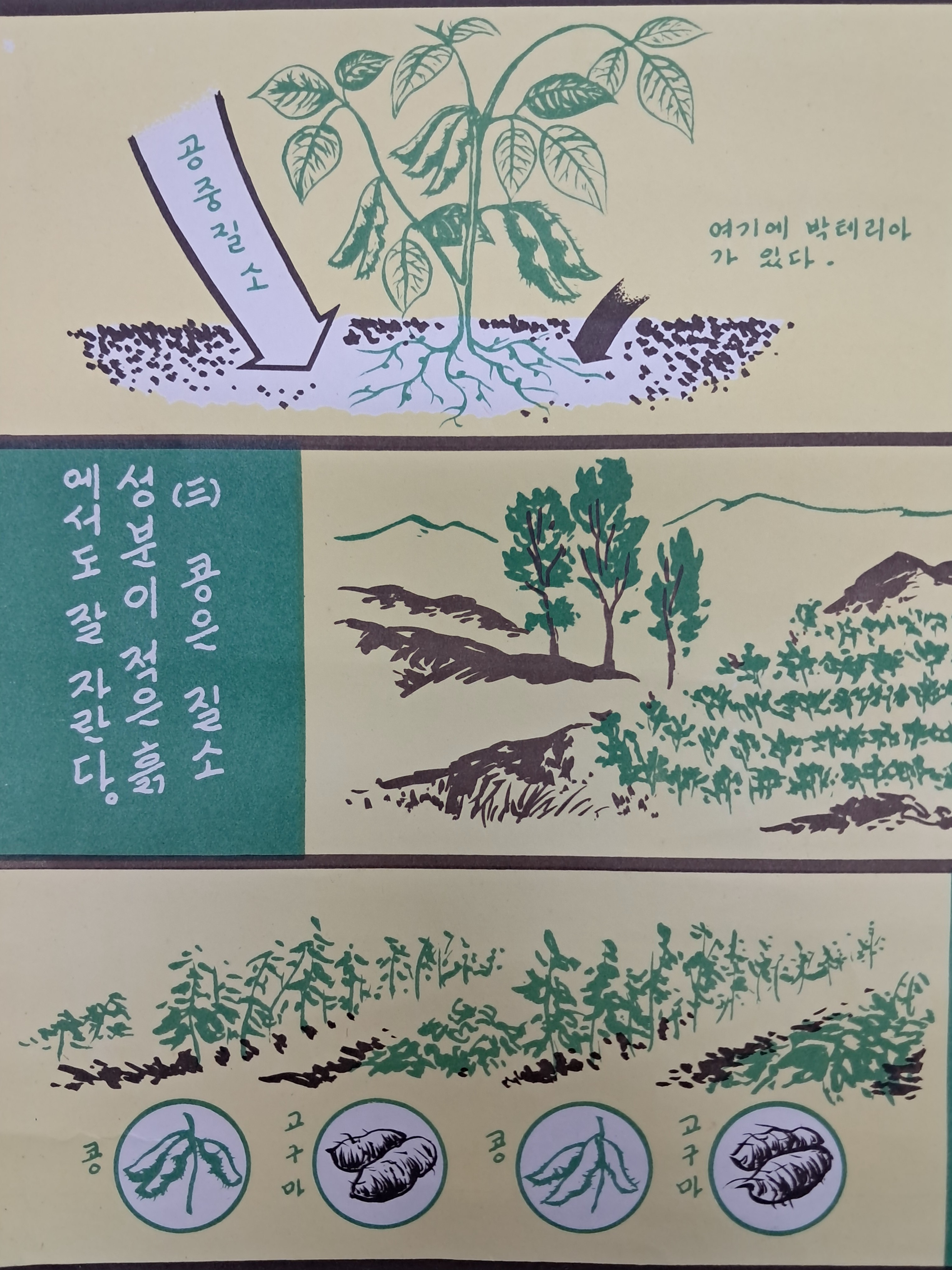 2e81c0246651070e4f3ef78d7c5f2790_1761720509_0576.jpg 2e81c0246651070e4f3ef78d7c5f2790_1761720509_0576.jpg