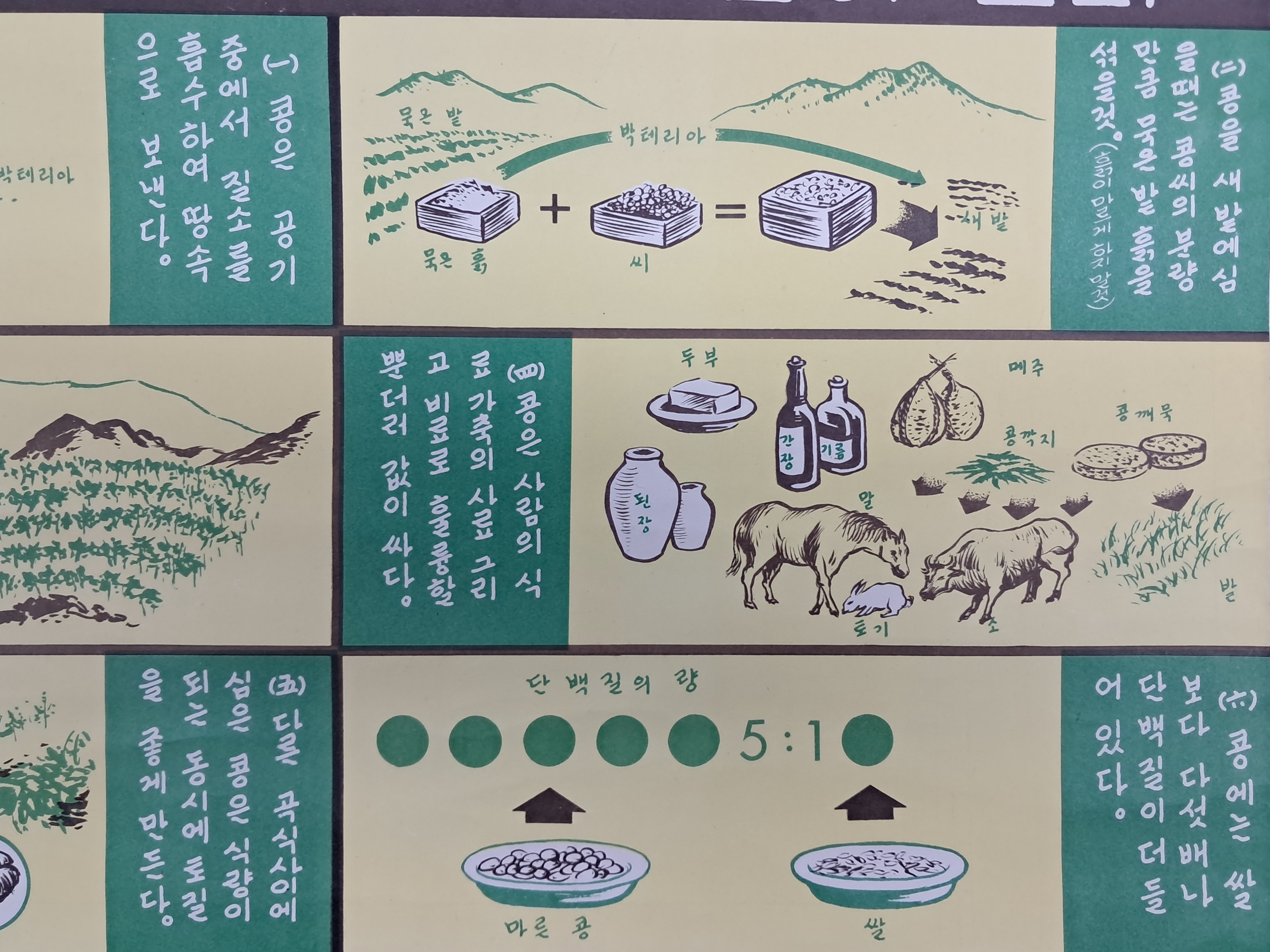 2e81c0246651070e4f3ef78d7c5f2790_1761720509_6056.jpg 2e81c0246651070e4f3ef78d7c5f2790_1761720509_6056.jpg