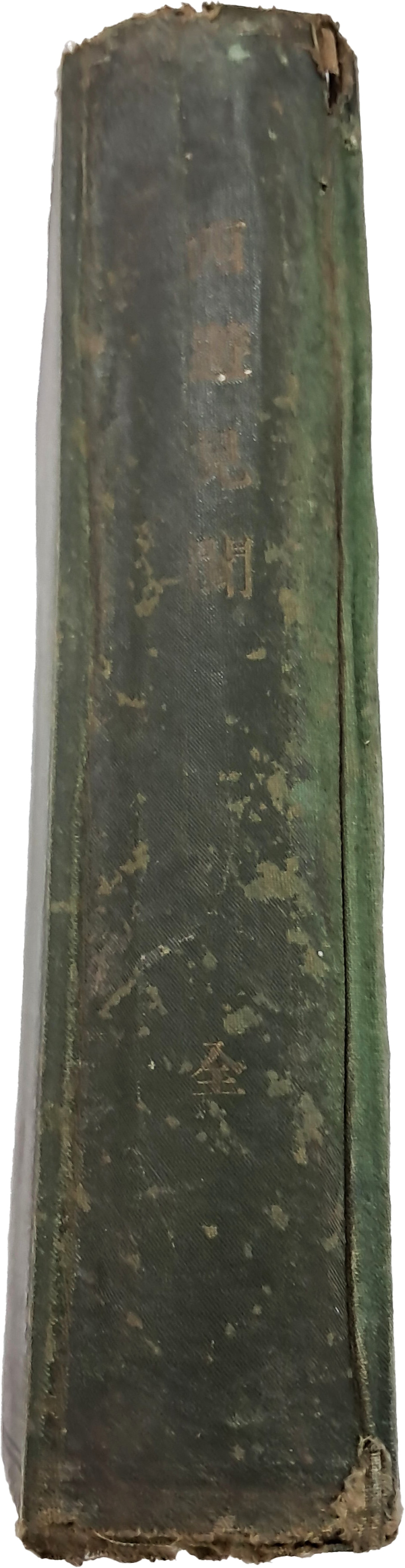 2e81c0246651070e4f3ef78d7c5f2790_1761720745_1435.jpg 2e81c0246651070e4f3ef78d7c5f2790_1761720745_1435.jpg