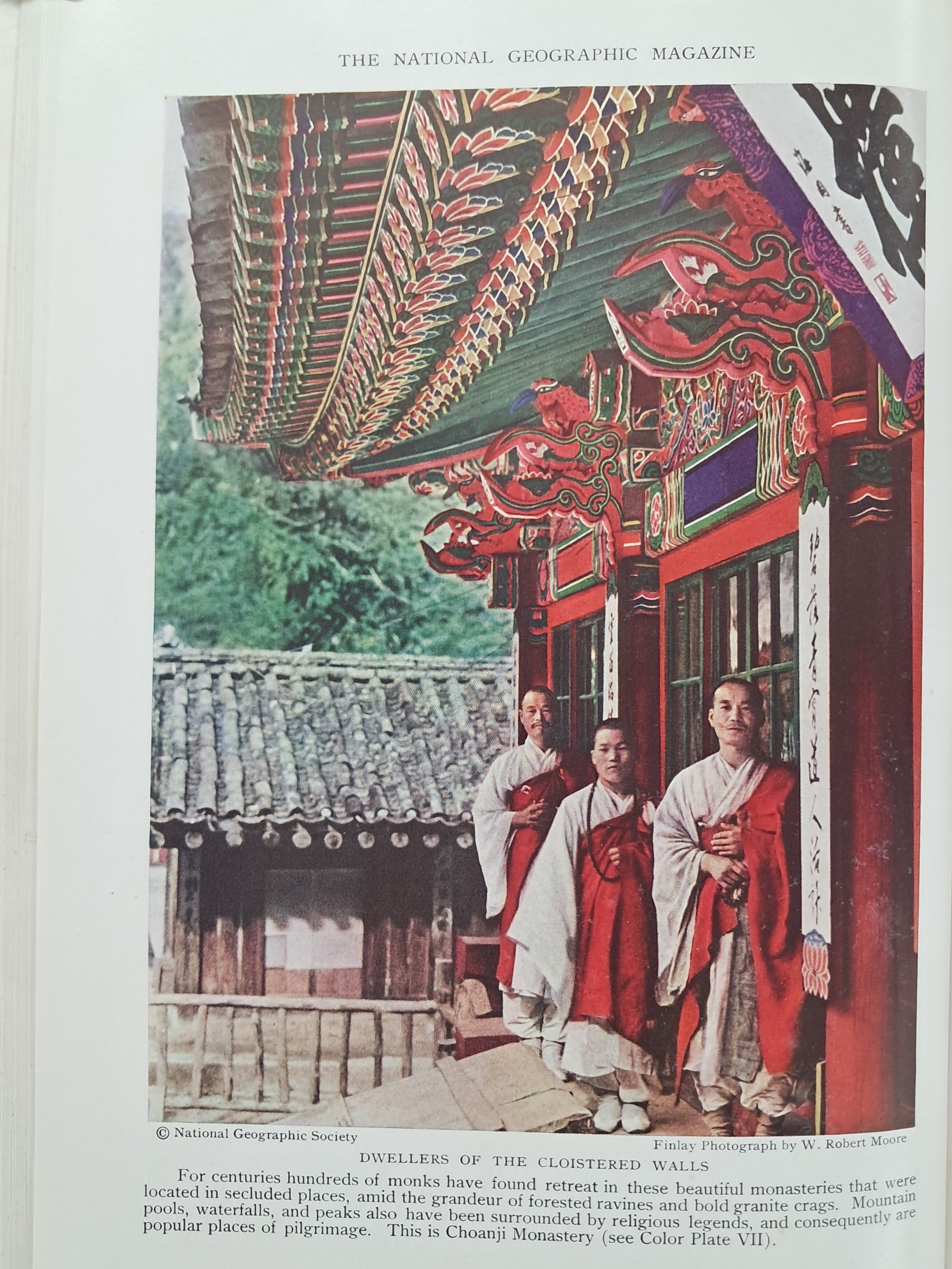 2e81c0246651070e4f3ef78d7c5f2790_1761722248_5643.jpg 2e81c0246651070e4f3ef78d7c5f2790_1761722248_5643.jpg