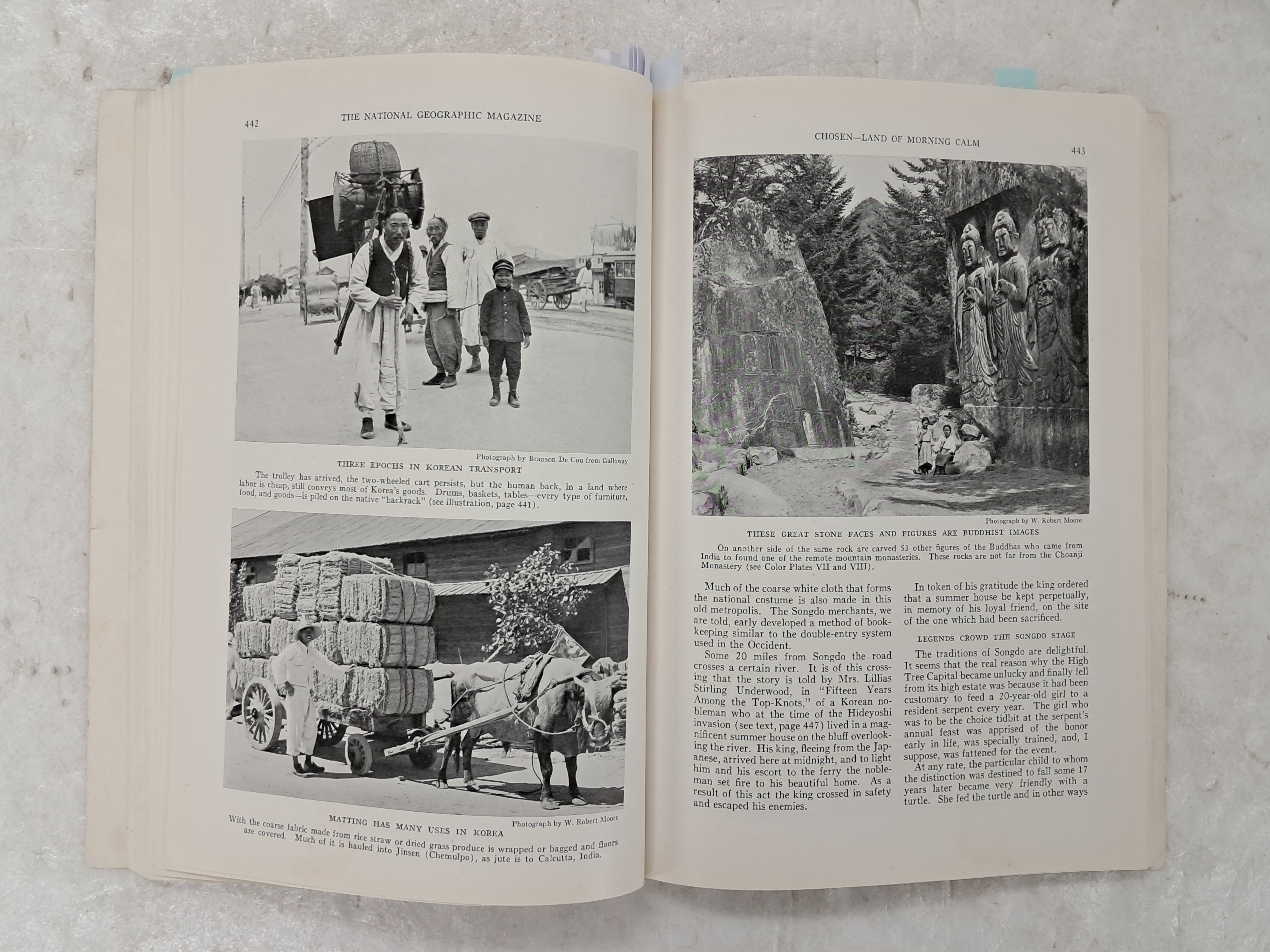 2e81c0246651070e4f3ef78d7c5f2790_1761722249_4203.jpg 2e81c0246651070e4f3ef78d7c5f2790_1761722249_4203.jpg