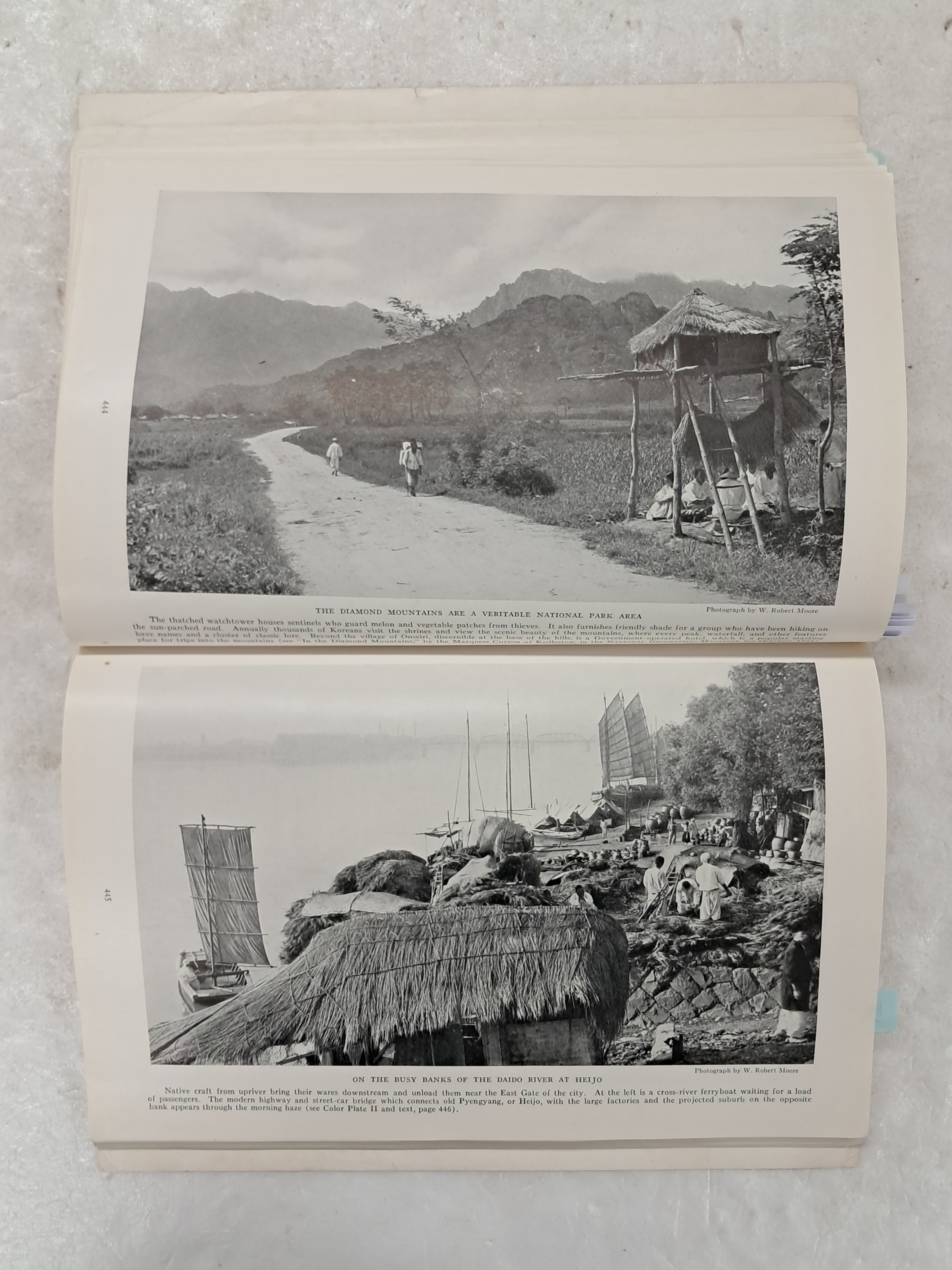 2e81c0246651070e4f3ef78d7c5f2790_1761722249_88.jpg 2e81c0246651070e4f3ef78d7c5f2790_1761722249_88.jpg