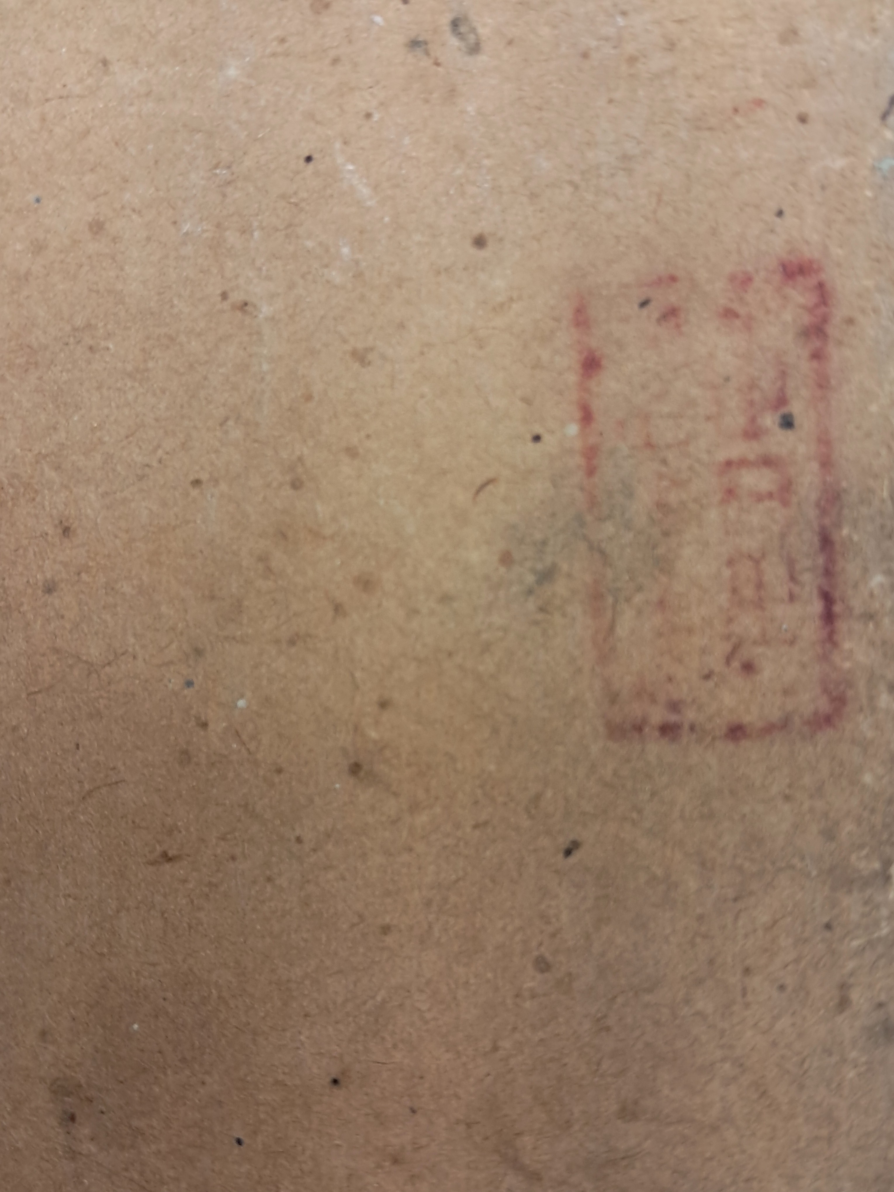 2e81c0246651070e4f3ef78d7c5f2790_1761724093_9073.jpg 2e81c0246651070e4f3ef78d7c5f2790_1761724093_9073.jpg