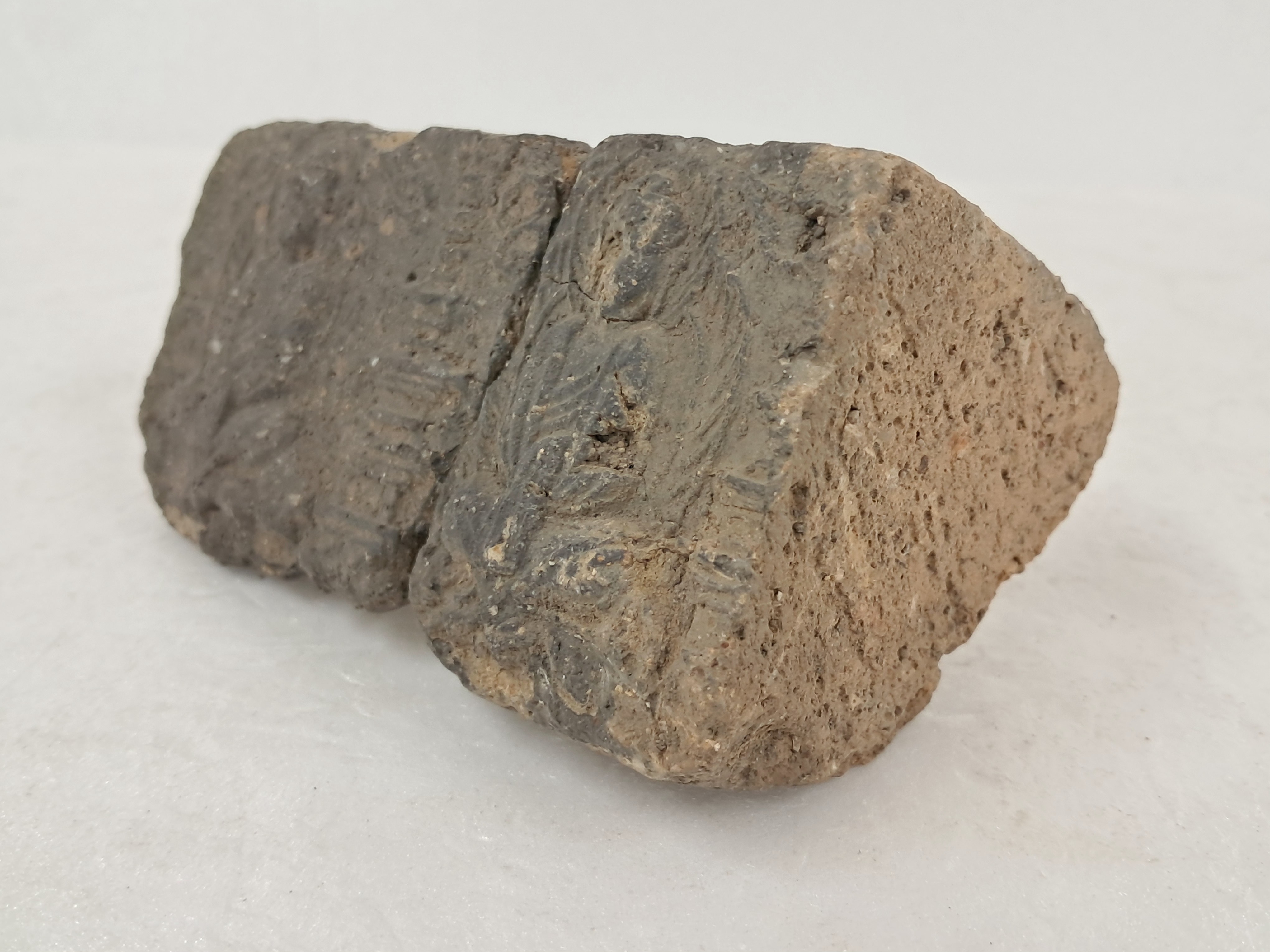 2e81c0246651070e4f3ef78d7c5f2790_1761725325_0205.jpg 2e81c0246651070e4f3ef78d7c5f2790_1761725325_0205.jpg