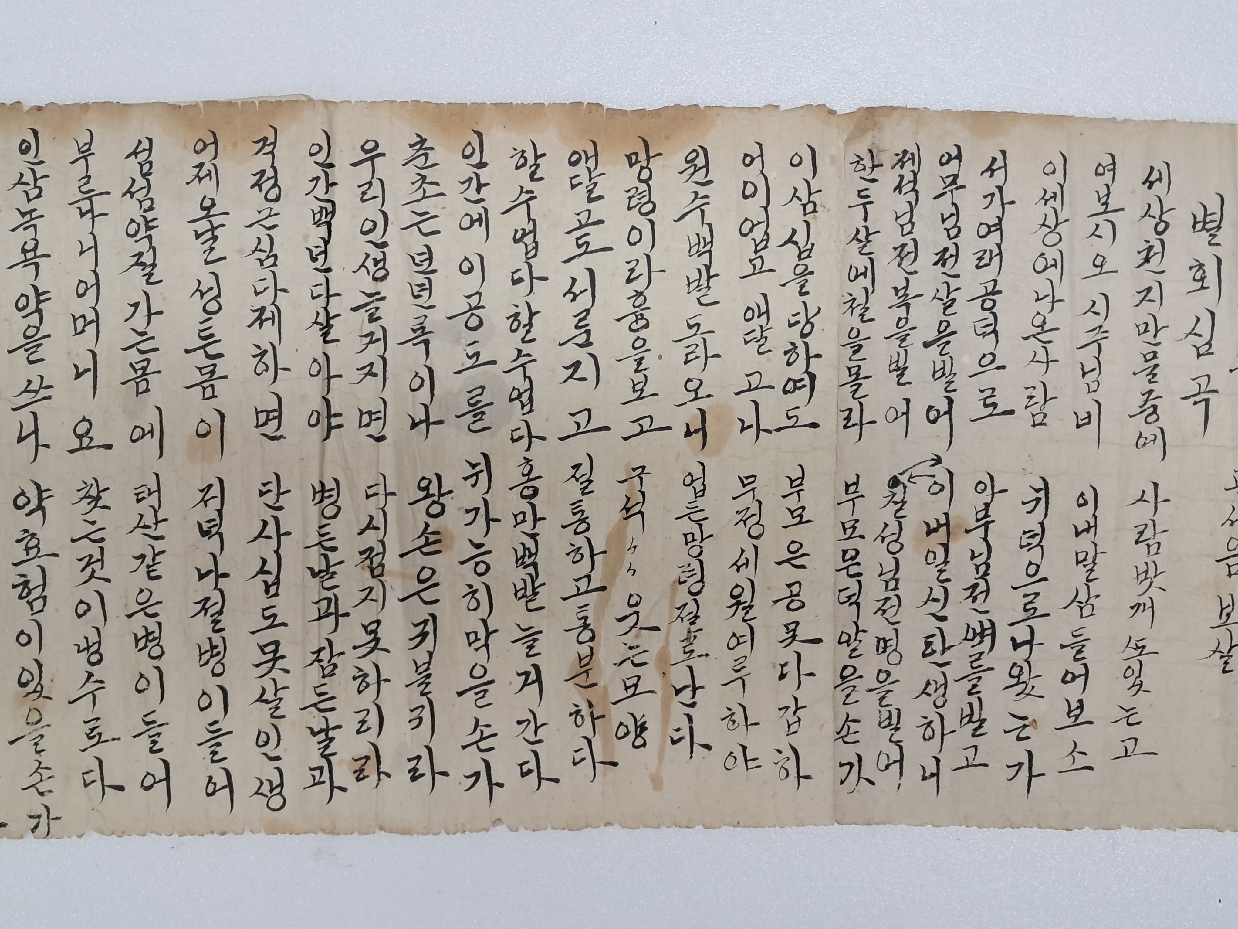 40016eafcb66ed9c7bc4306e37dd4fd9_1761742384_3354.jpg 40016eafcb66ed9c7bc4306e37dd4fd9_1761742384_3354.jpg