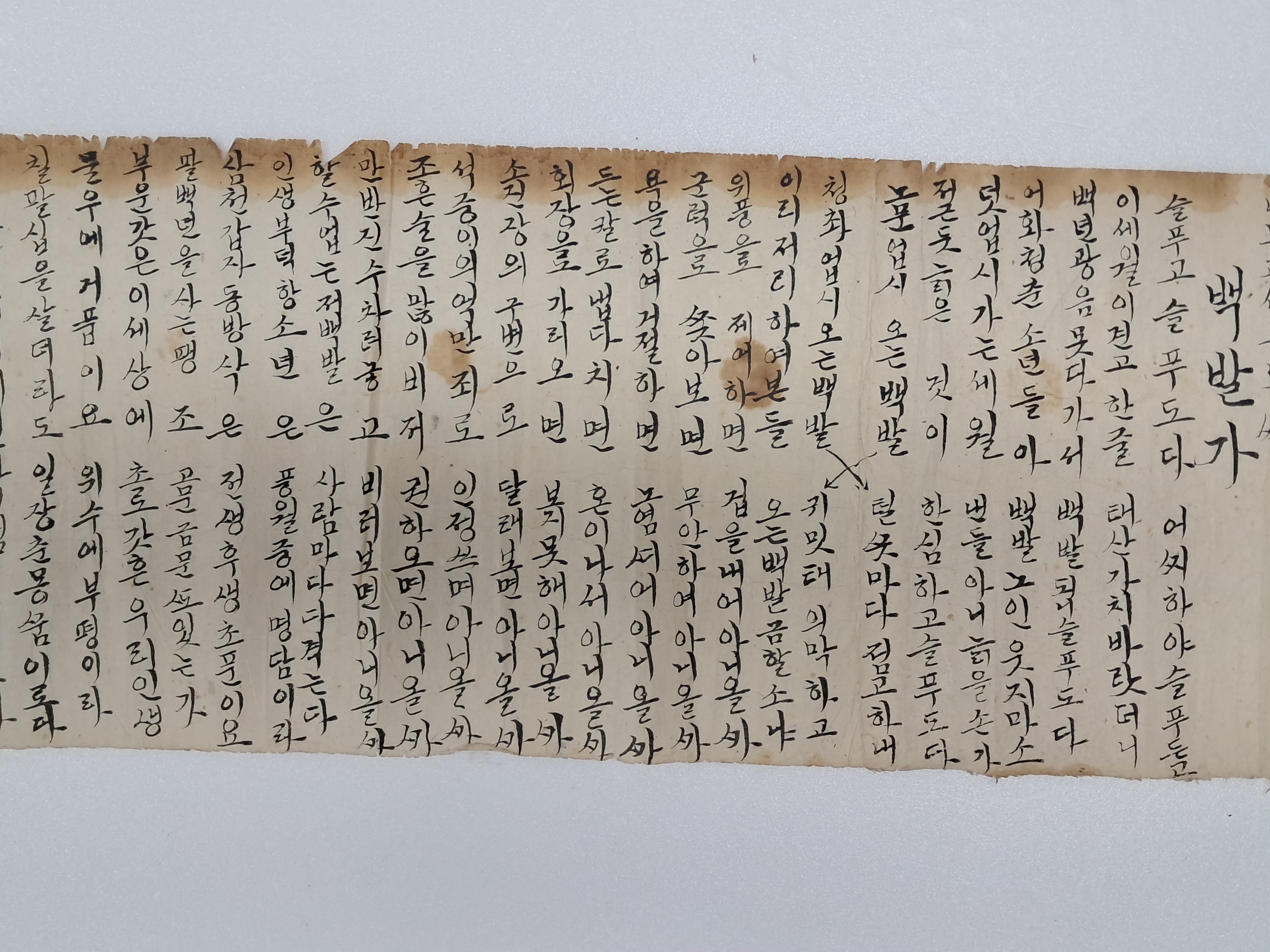 40016eafcb66ed9c7bc4306e37dd4fd9_1761742384_7363.jpg 40016eafcb66ed9c7bc4306e37dd4fd9_1761742384_7363.jpg