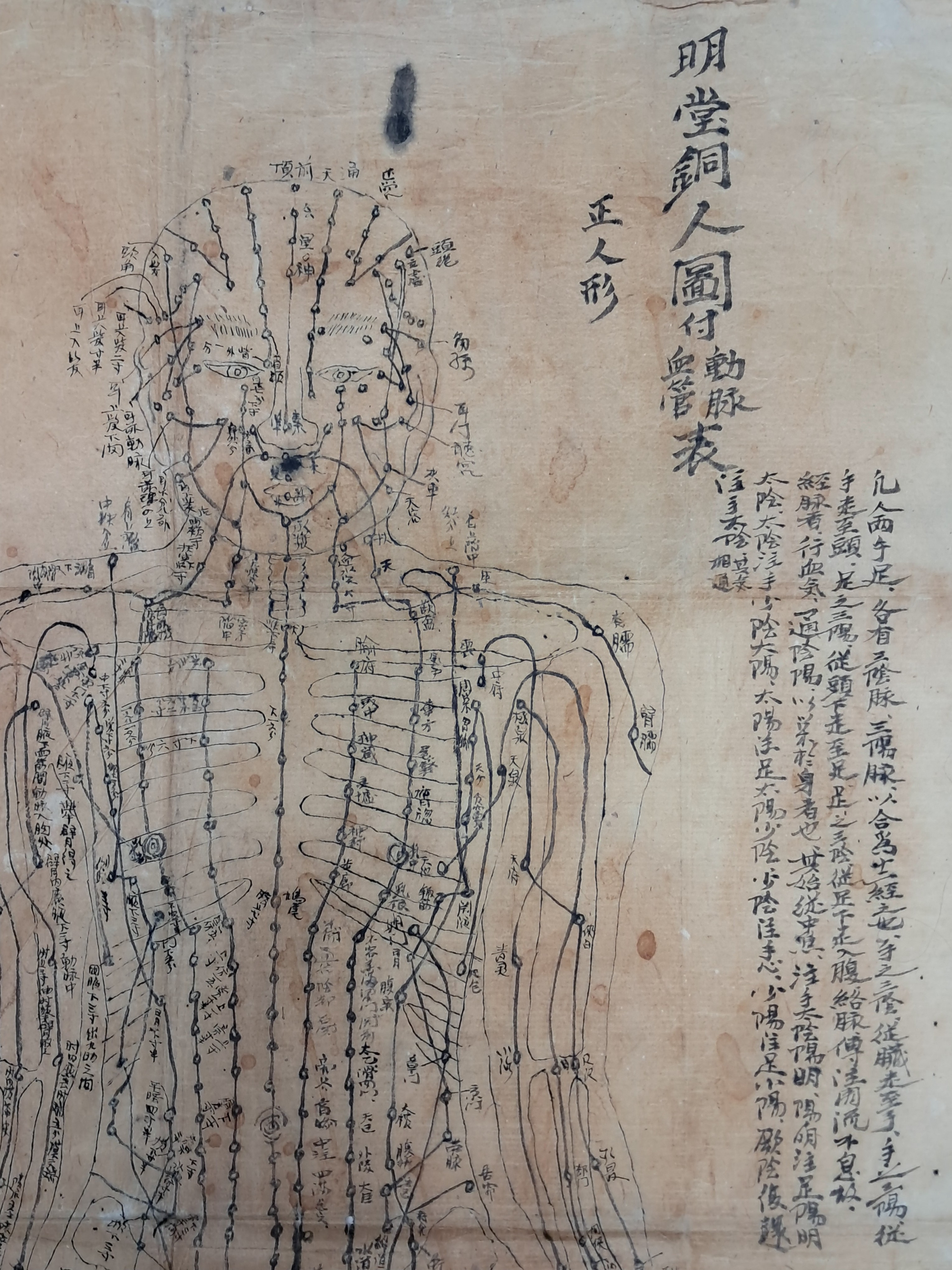 40016eafcb66ed9c7bc4306e37dd4fd9_1761743147_2215.jpg 40016eafcb66ed9c7bc4306e37dd4fd9_1761743147_2215.jpg