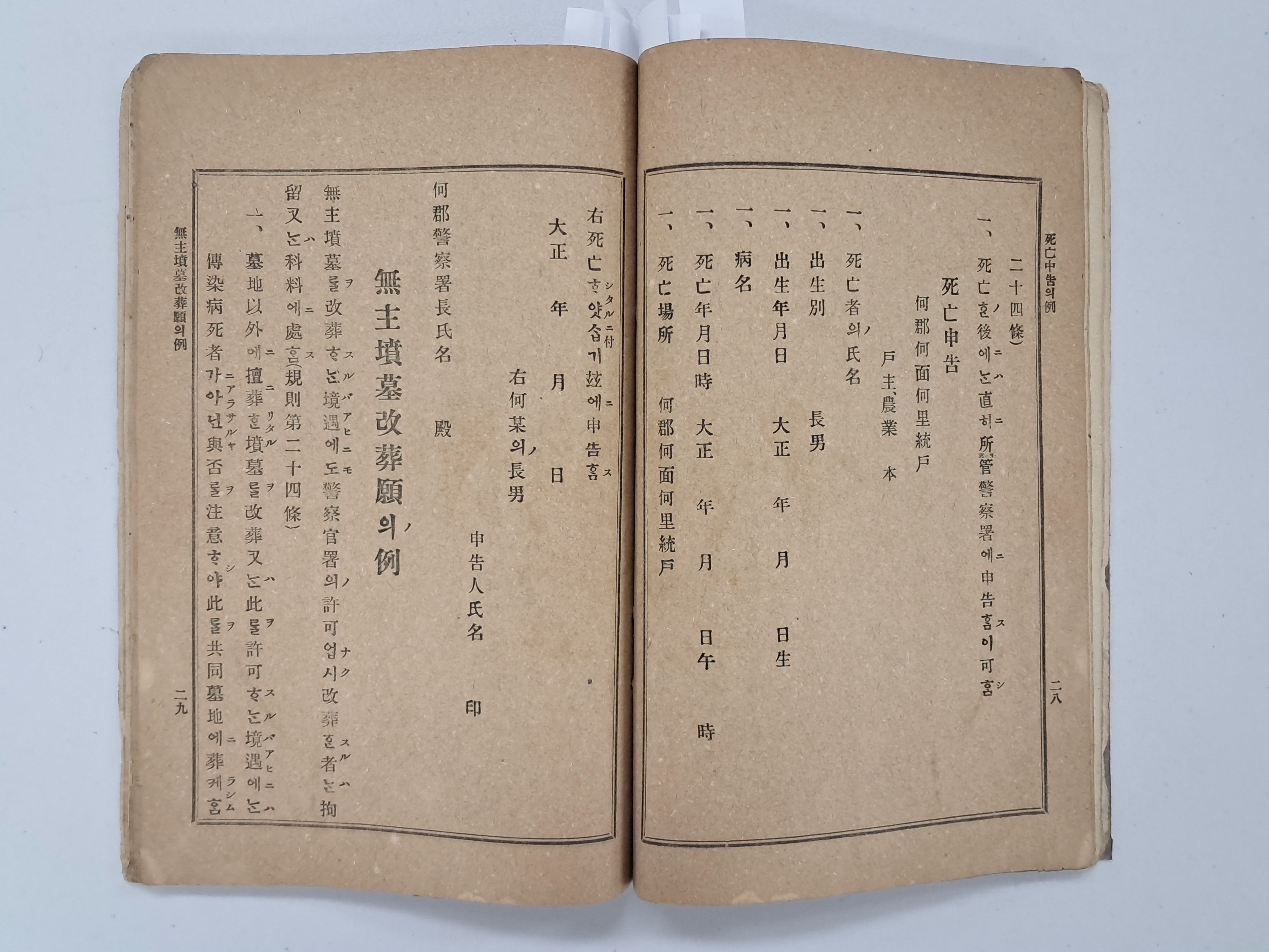 40016eafcb66ed9c7bc4306e37dd4fd9_1761749757_7342.jpg 40016eafcb66ed9c7bc4306e37dd4fd9_1761749757_7342.jpg