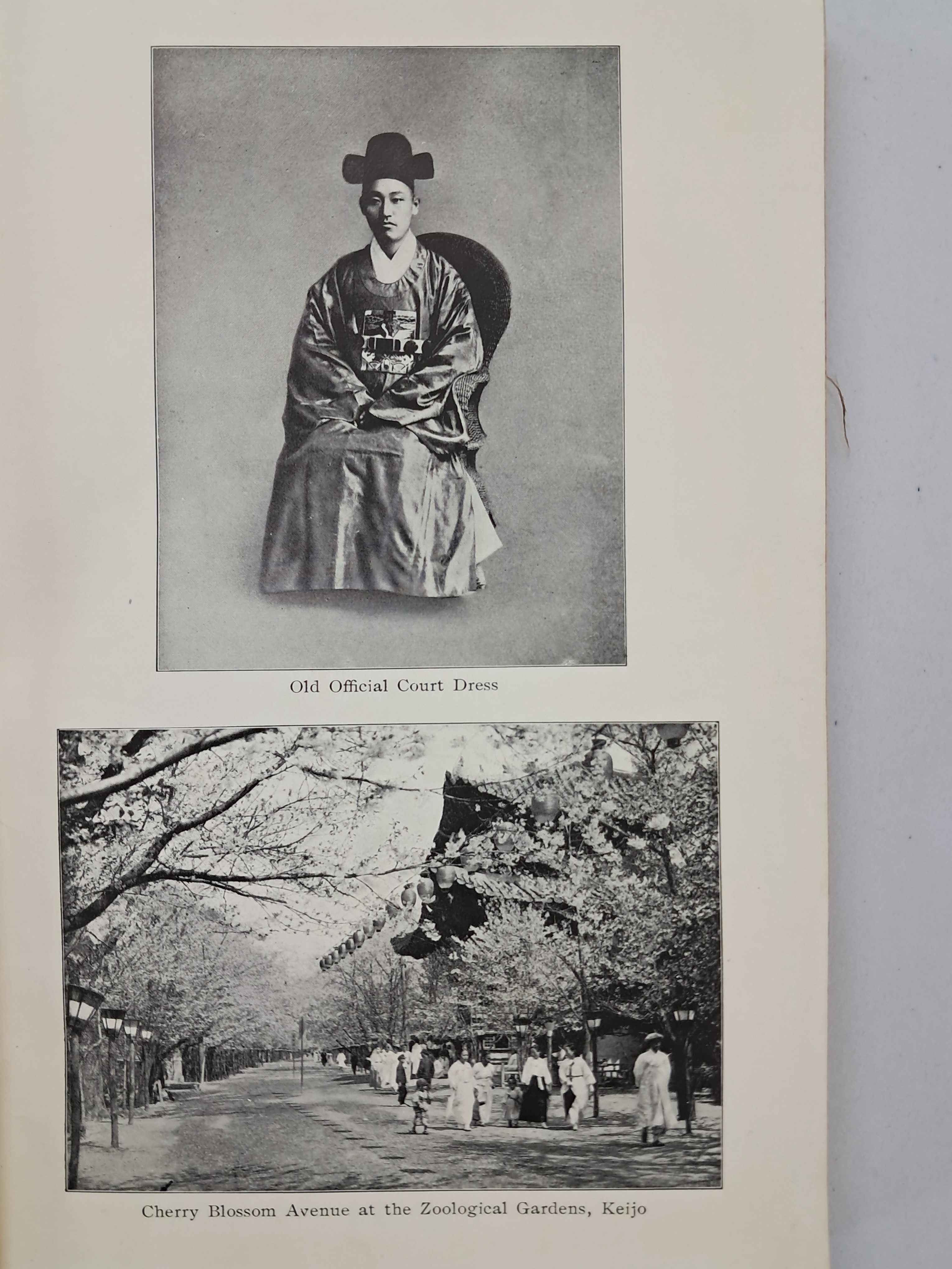 40016eafcb66ed9c7bc4306e37dd4fd9_1761750119_7277.jpg 40016eafcb66ed9c7bc4306e37dd4fd9_1761750119_7277.jpg