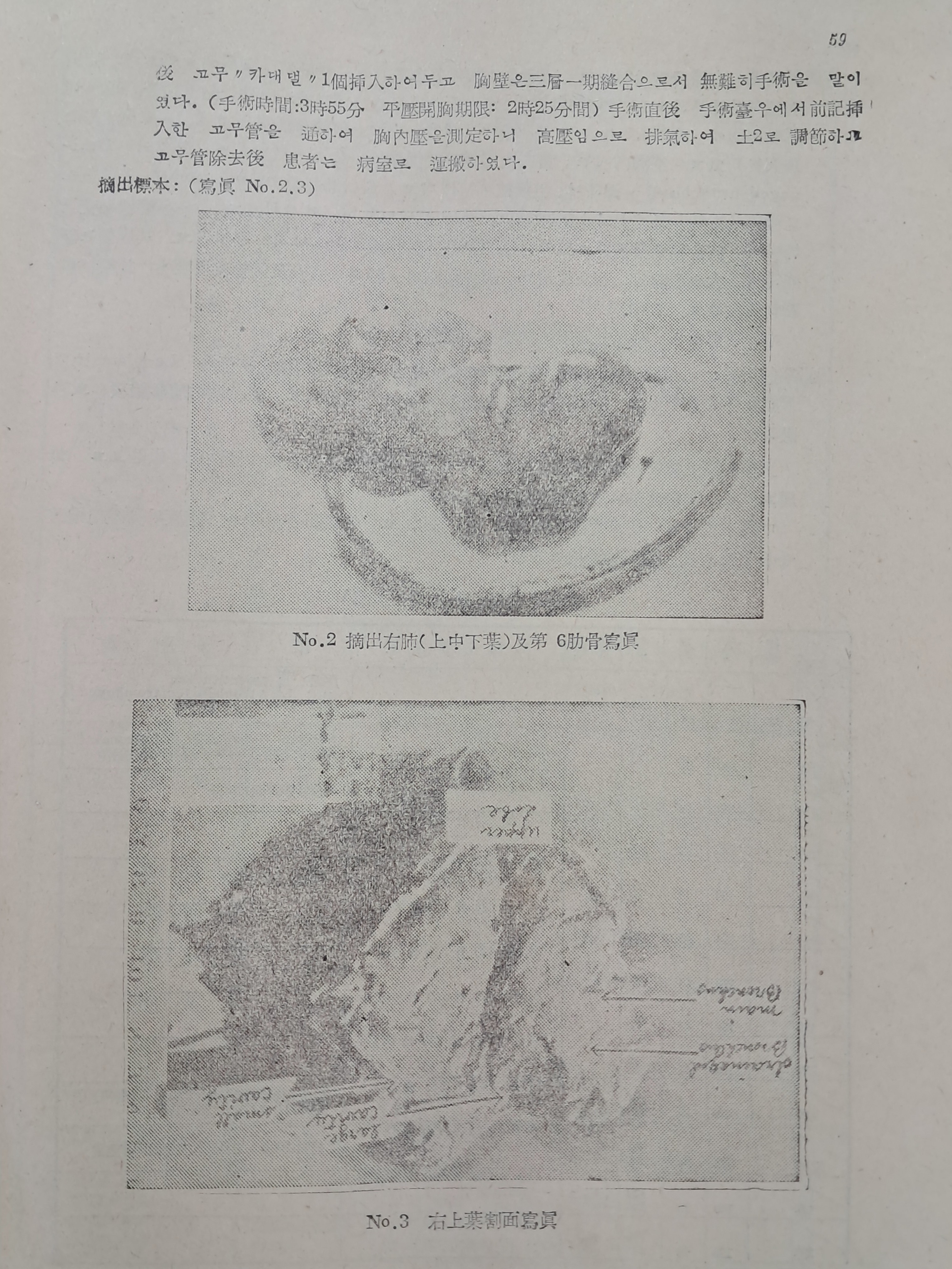 40016eafcb66ed9c7bc4306e37dd4fd9_1761750196_4666.jpg 40016eafcb66ed9c7bc4306e37dd4fd9_1761750196_4666.jpg